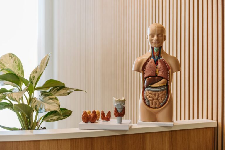 hauser_healthcare_22